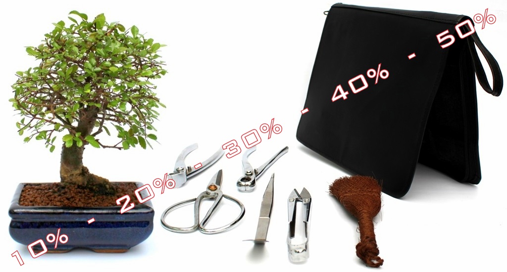 akcios bonsai termekek bonsaj sales studio